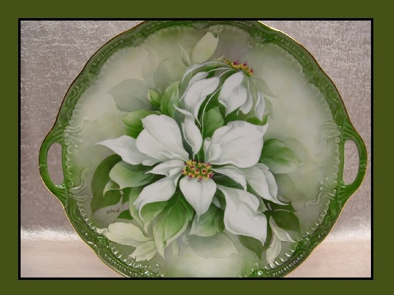 White Poinsettia Flower — Serene
