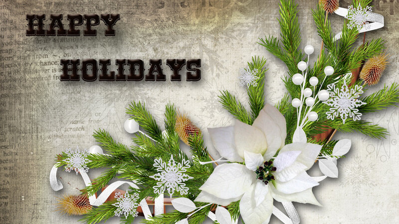 White Poinsettia with Pine