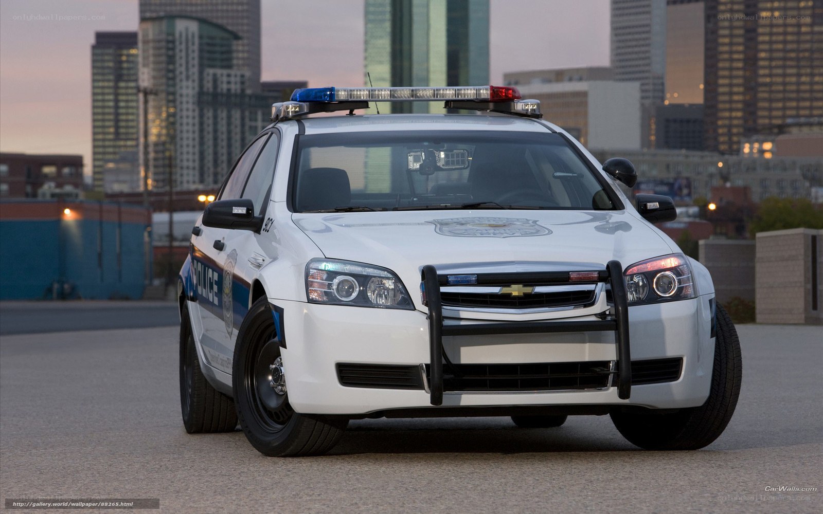 white police car in city