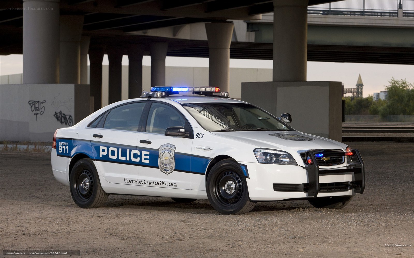 white police car under bridge
