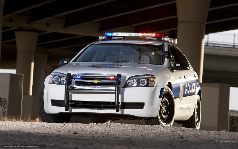 white police car under bridge