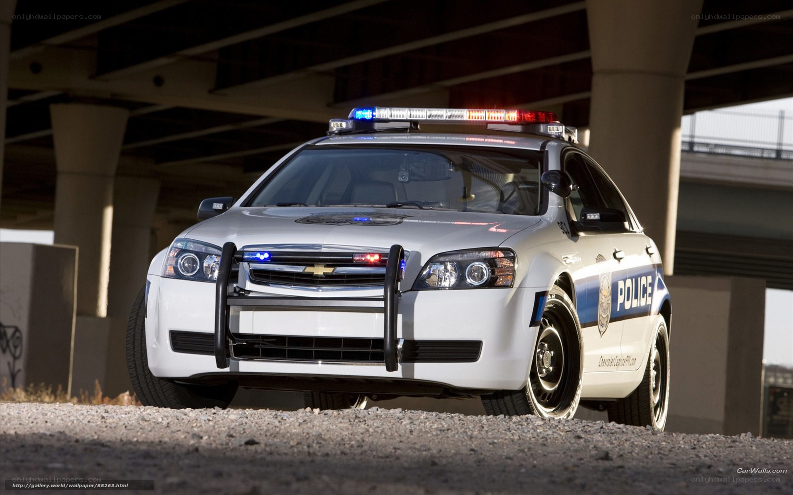 white police car under bridge
