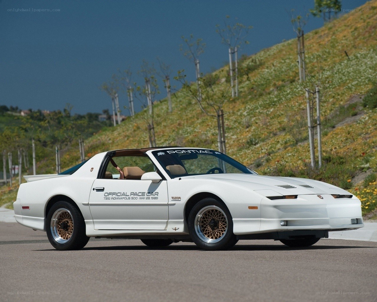White Pontiac Firebird pace car