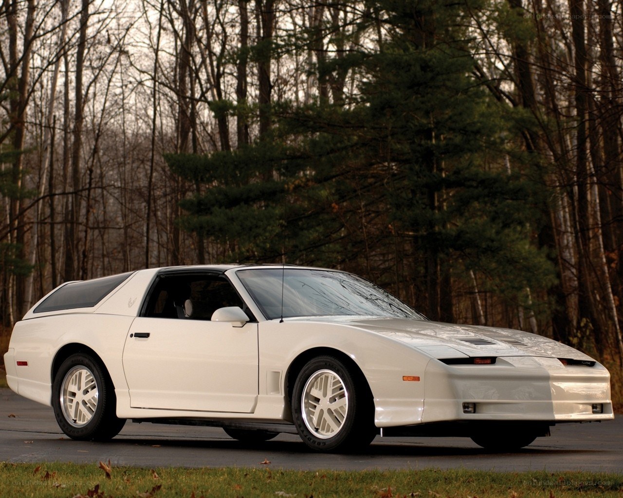 White Pontiac Firebird Trans Am