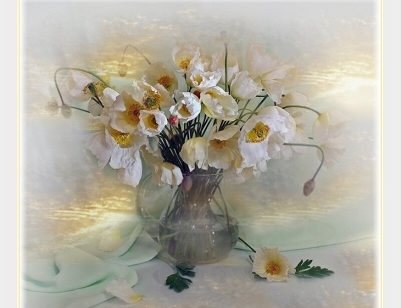 White Poppy Bouquet