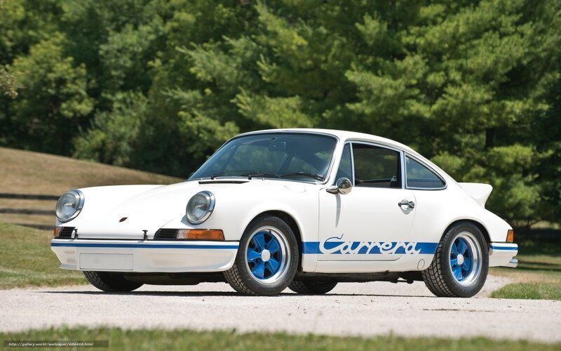 White Porsche Carrera sports car