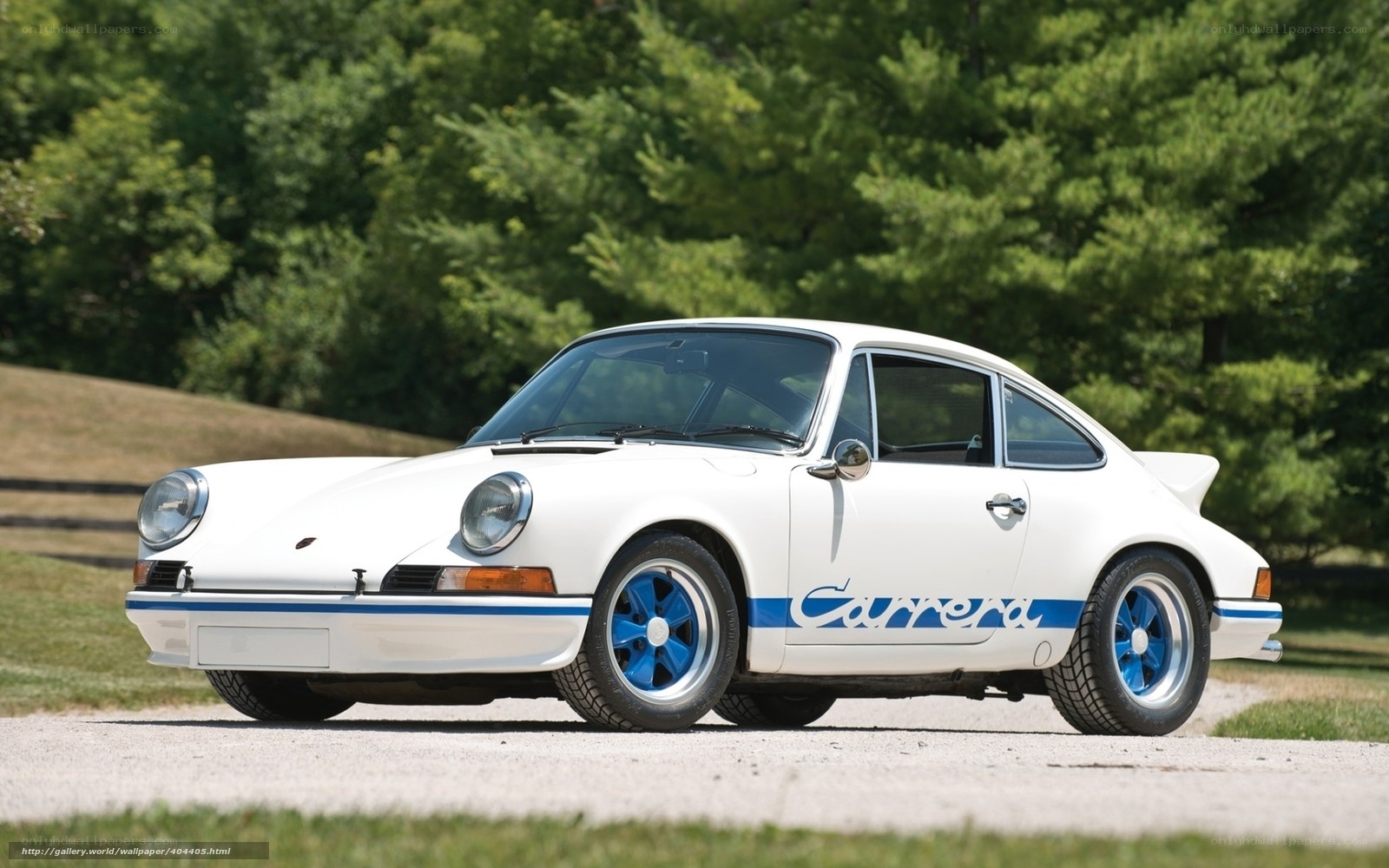 White Porsche Carrera sports car