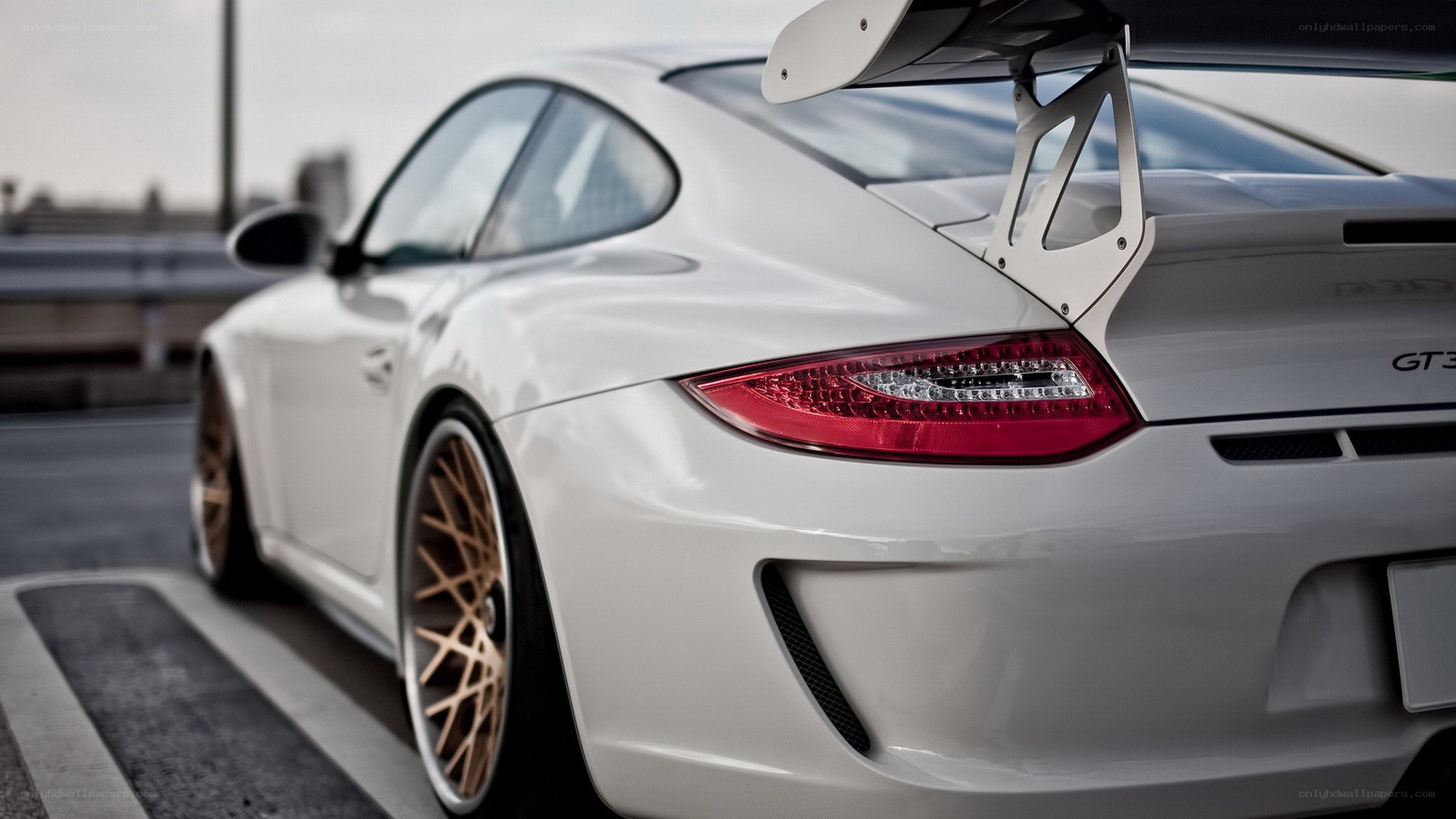 white porsche gt3 rear view