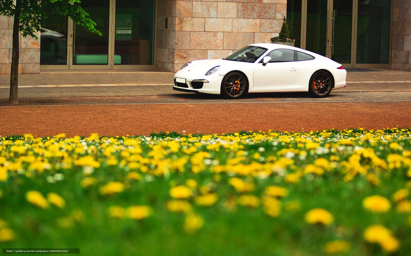 White Porsche in a city garden