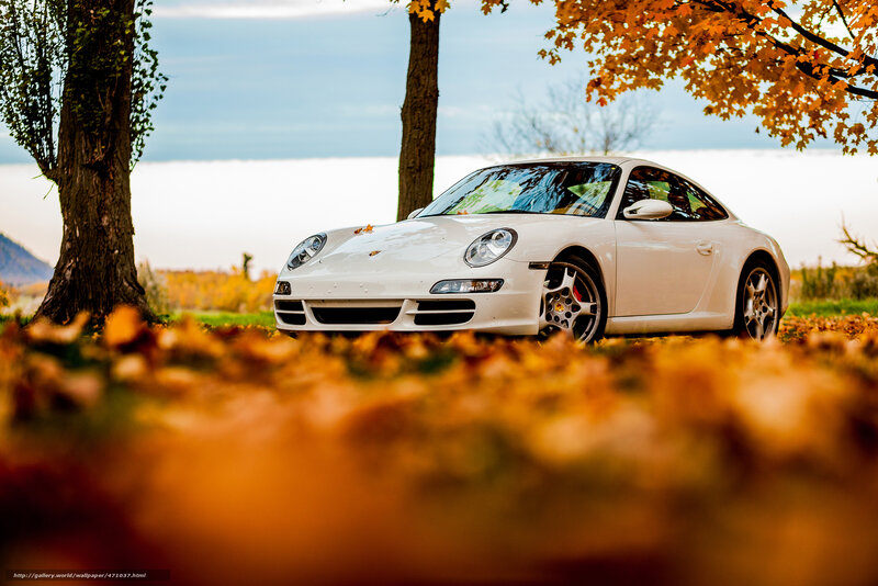 White Porsche in Autumn