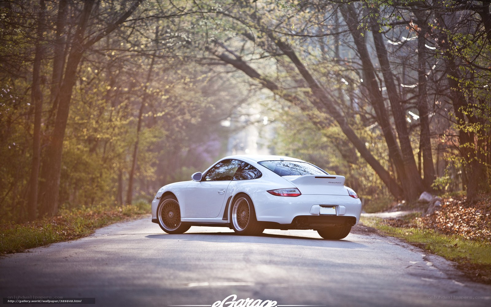 White Porsche on a forest road