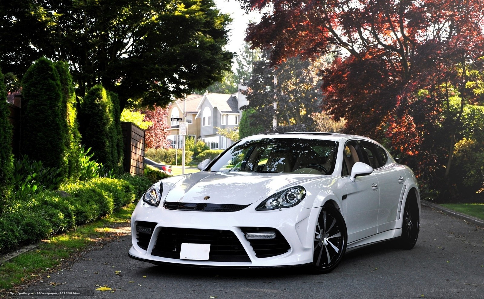 White Porsche on a tree-lined street