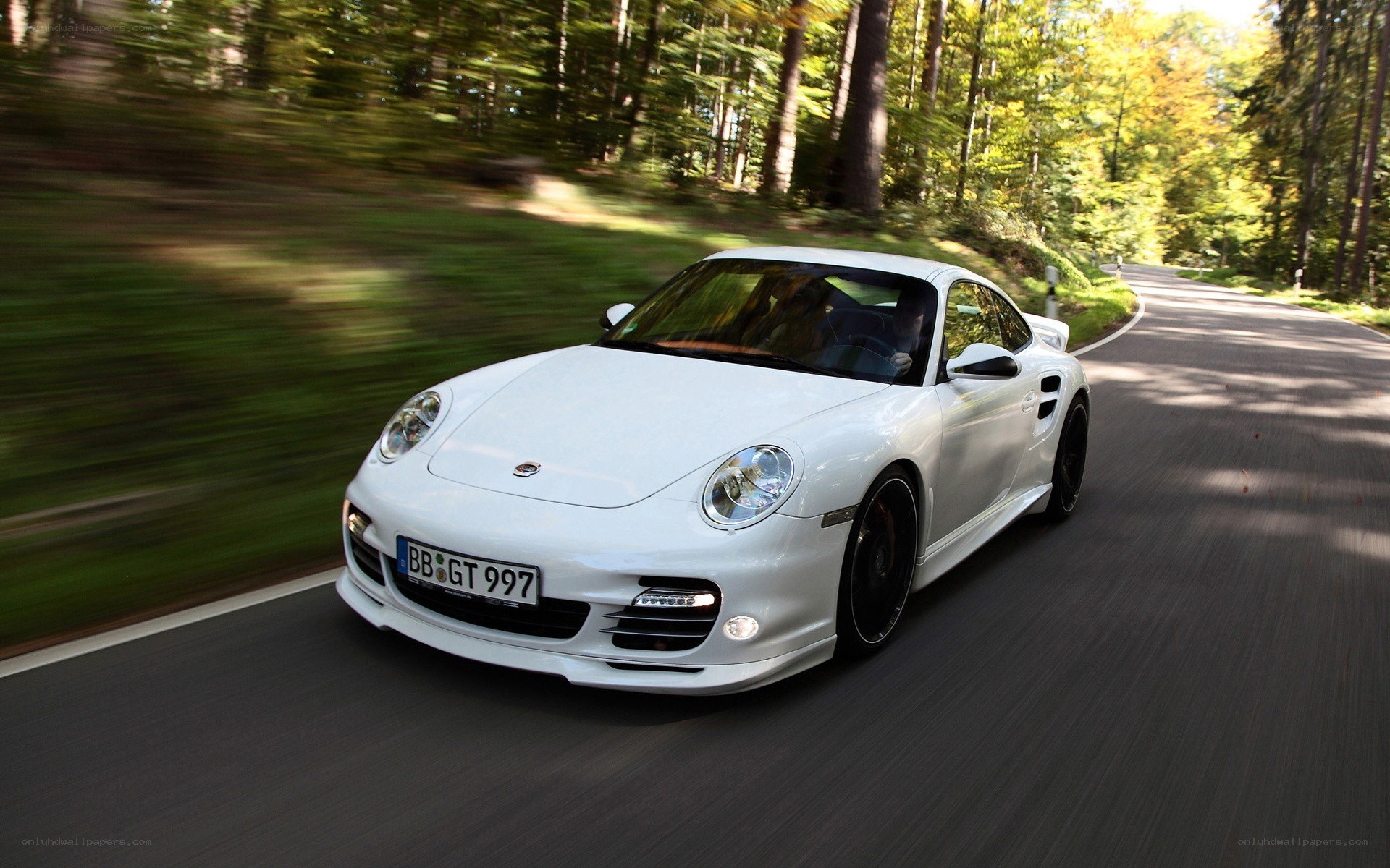 white porsche on forest road