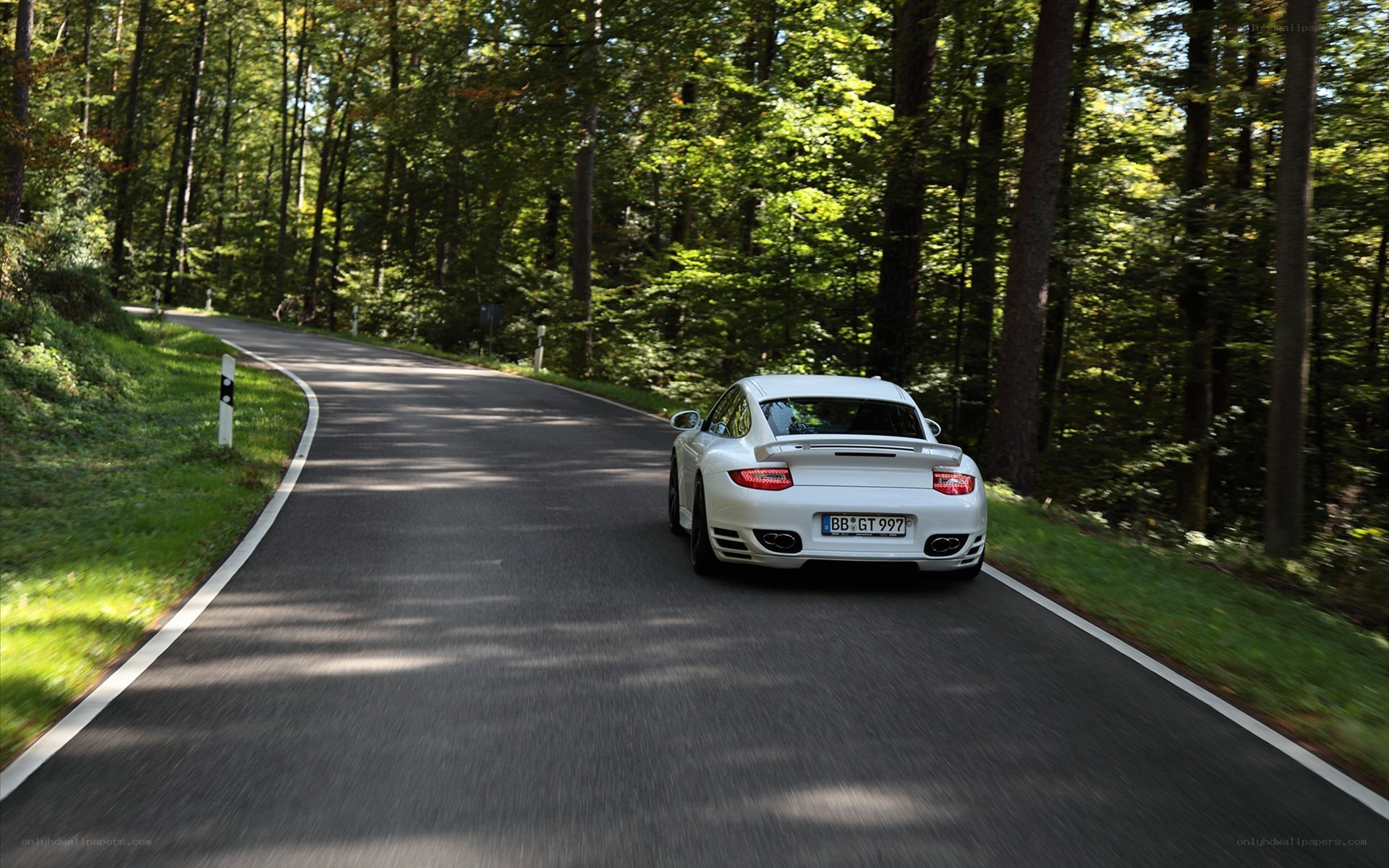 White Porsche on forest road