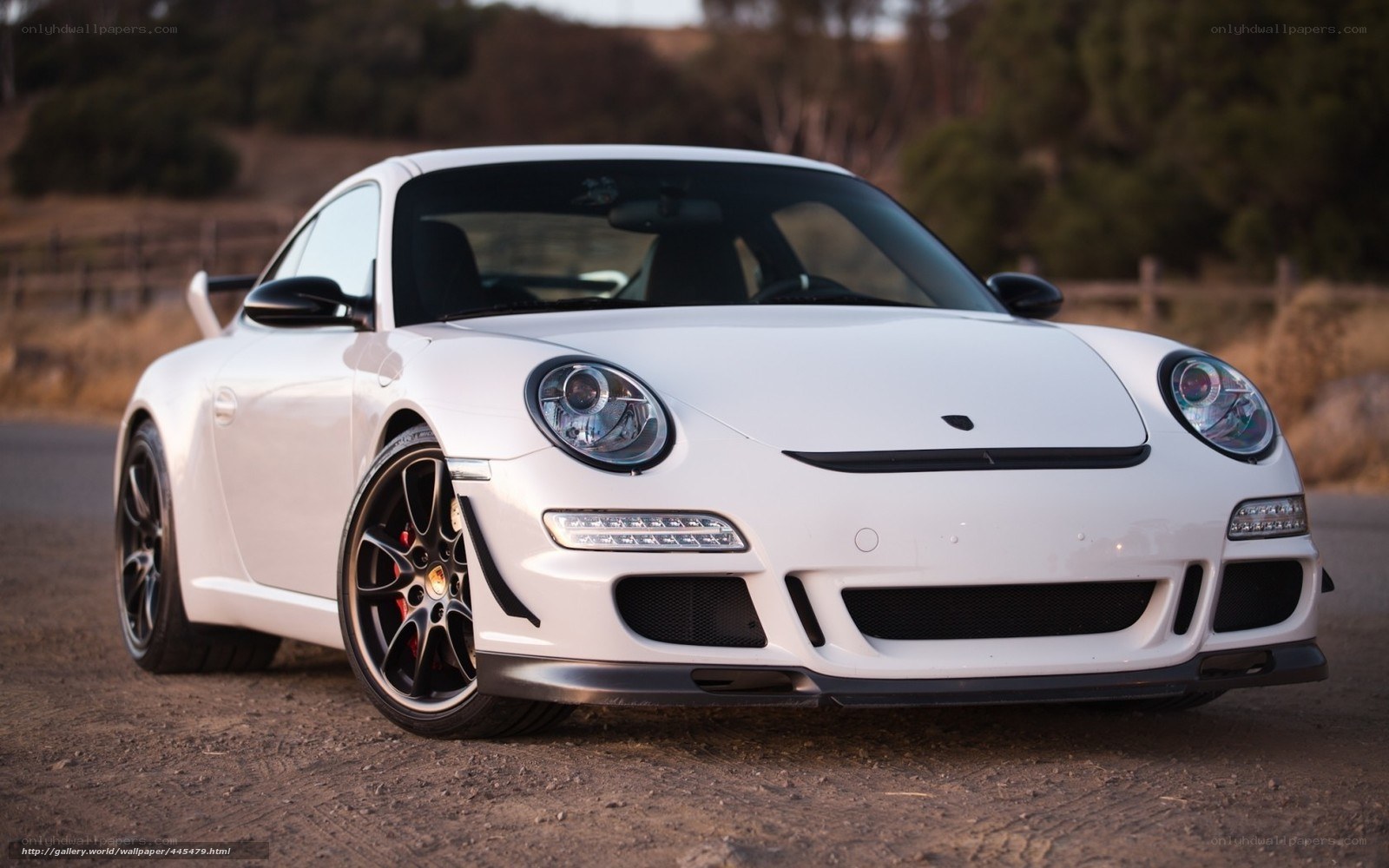 white Porsche sports car