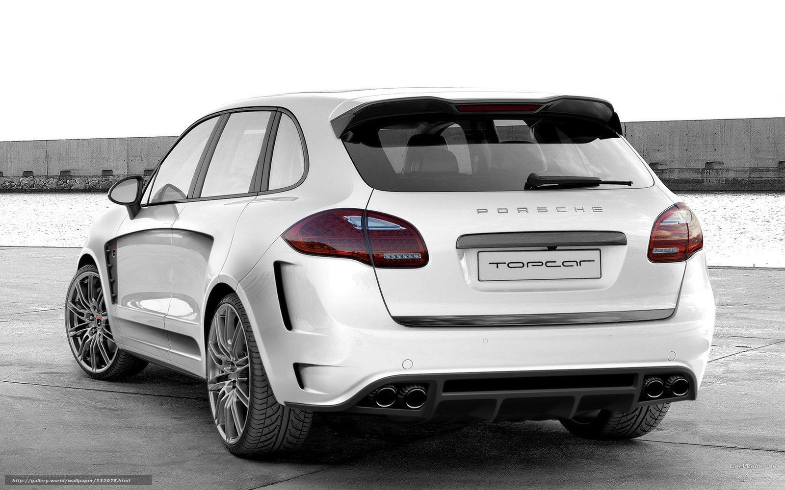 white porsche suv rear view