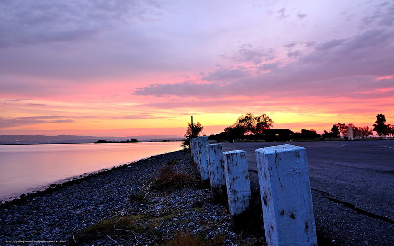 White Posts on Beach