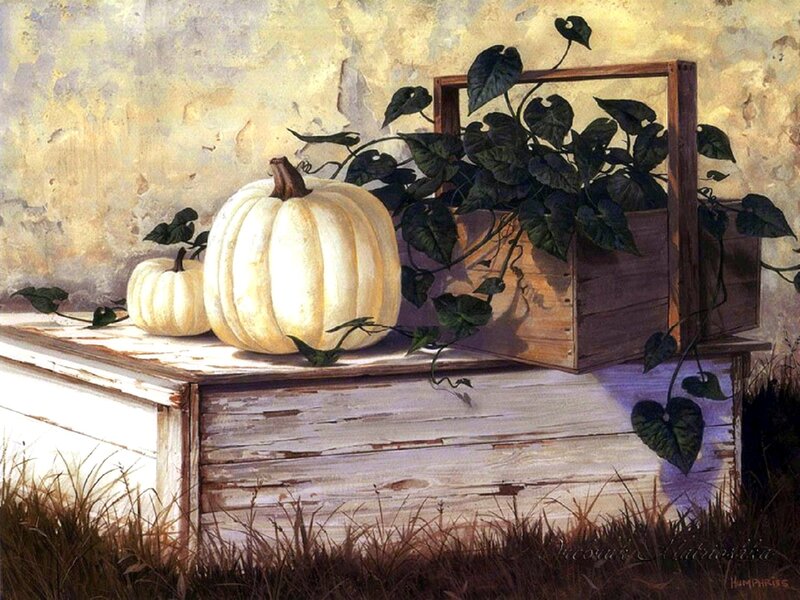 White Pumpkins and Vine