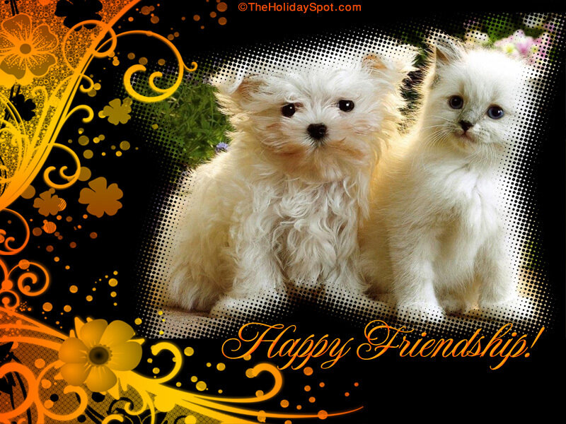 White Puppy and Kitten — Black
