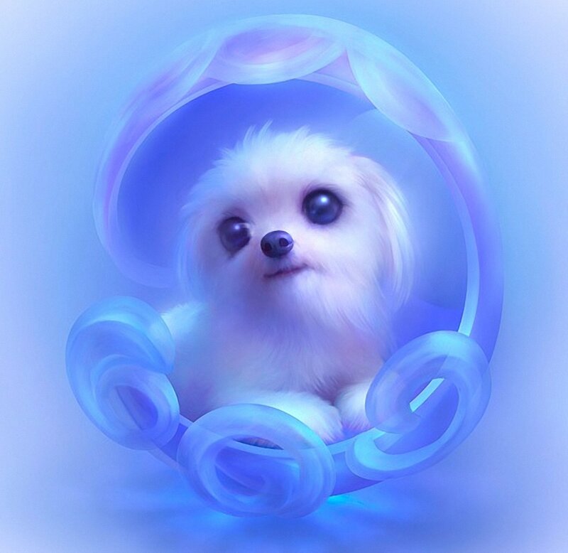 White Puppy in Bubble — Blue