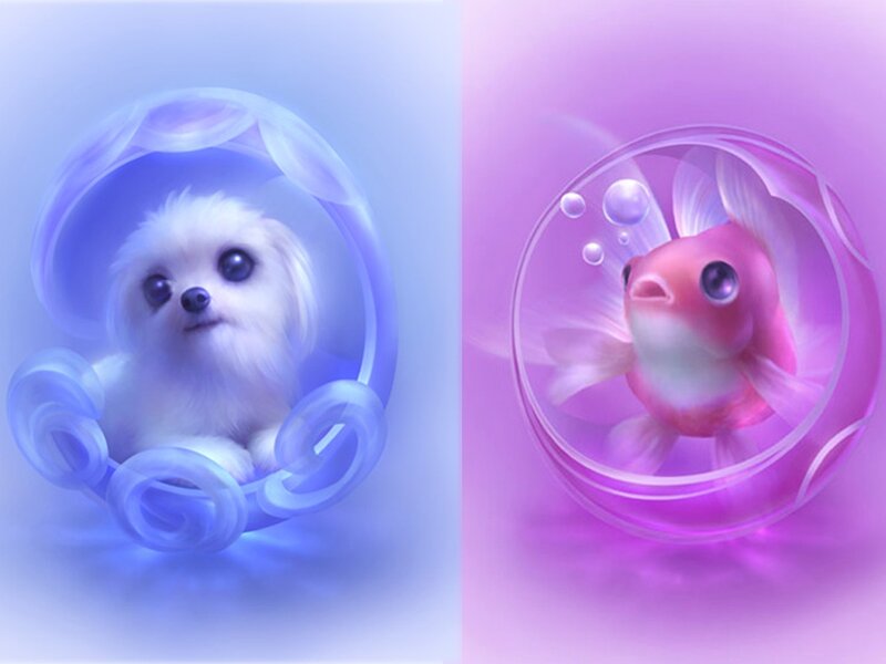 White Puppy in Bubble