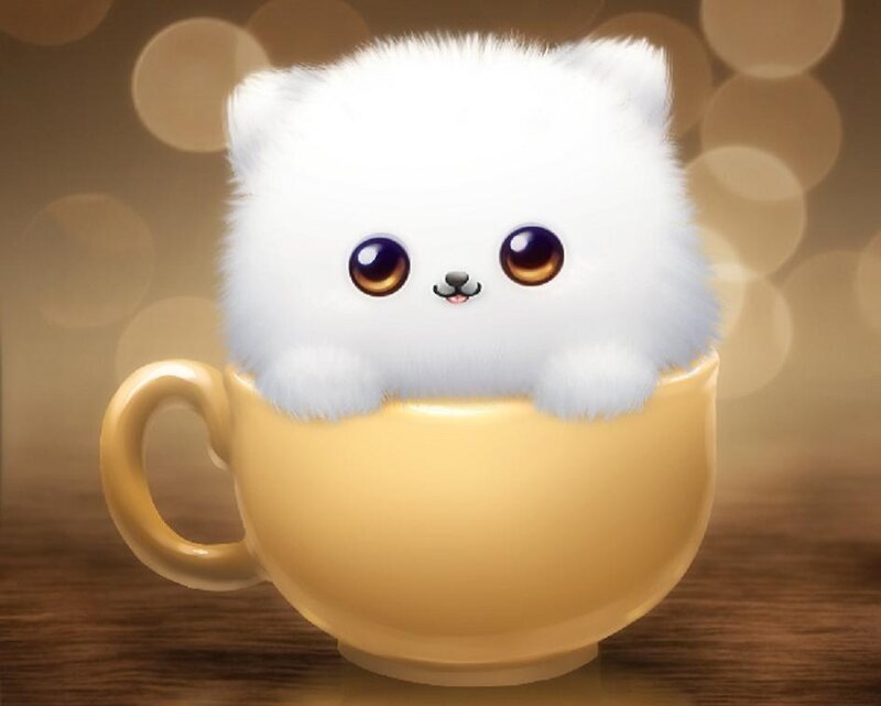 White Puppy in Cup
