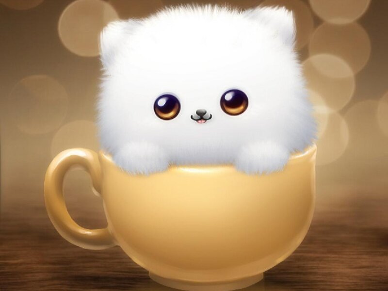 White Puppy in Cup — Yellow