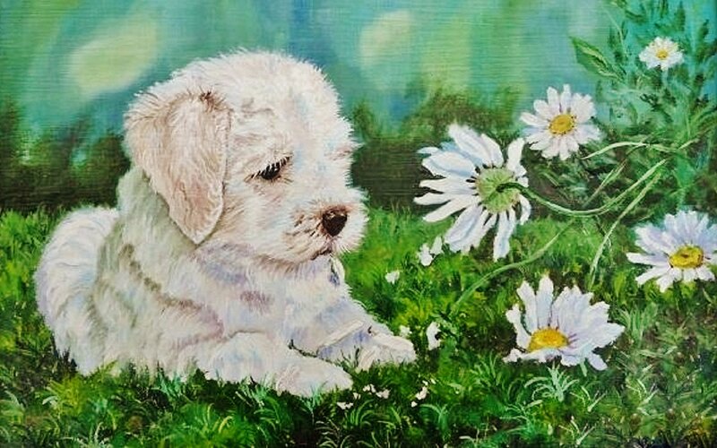 White Puppy in Grass — Green, Serene, Spring