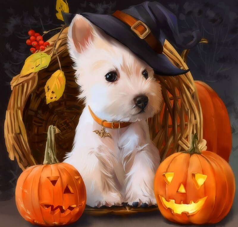 White Puppy in Witch Hat