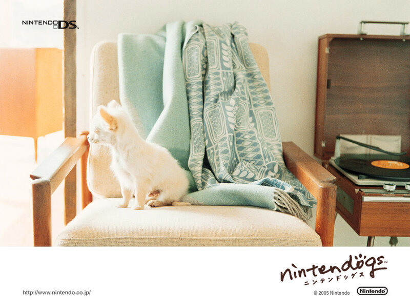 White Puppy on Chair — Beige