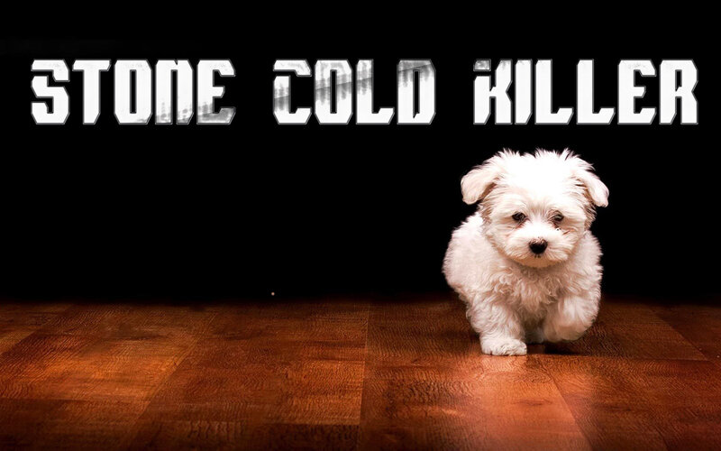 White Puppy on Floor — Black