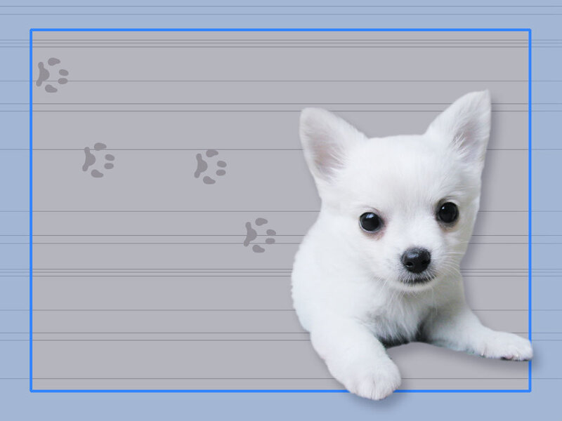 White Puppy on Lined Paper