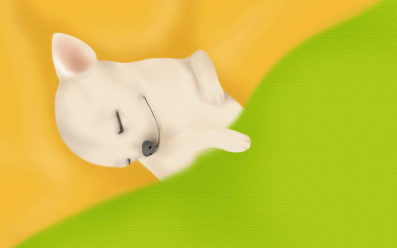 White Puppy Sleeping
