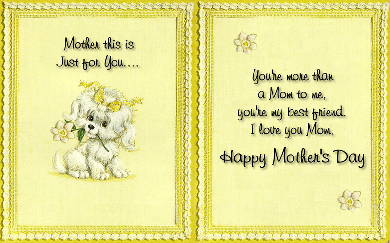 White Puppy with Flower