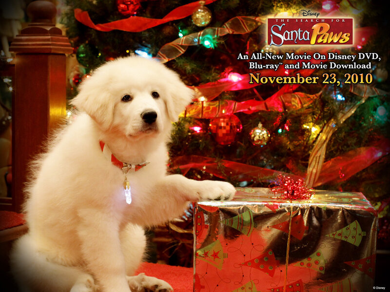 White Puppy with Gift