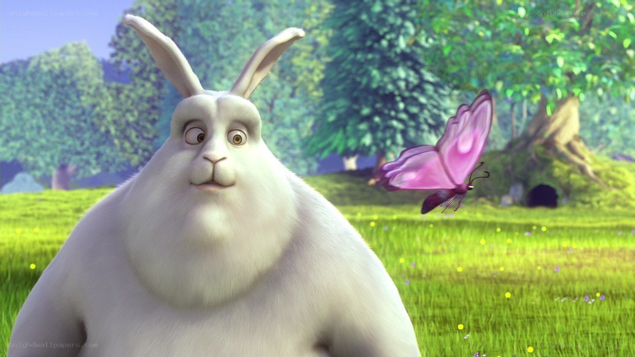 white rabbit and purple butterfly