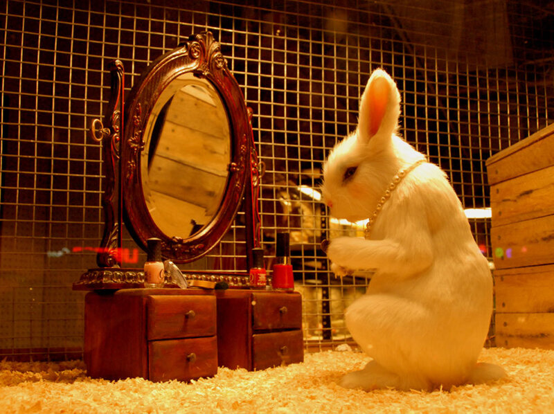 White Rabbit at Vanity