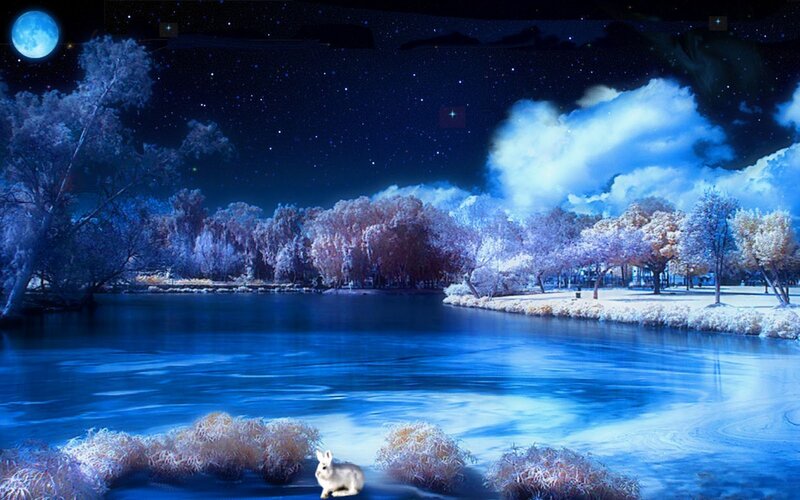 White Rabbit by Lake