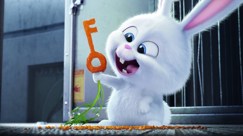 white rabbit holding carrot key