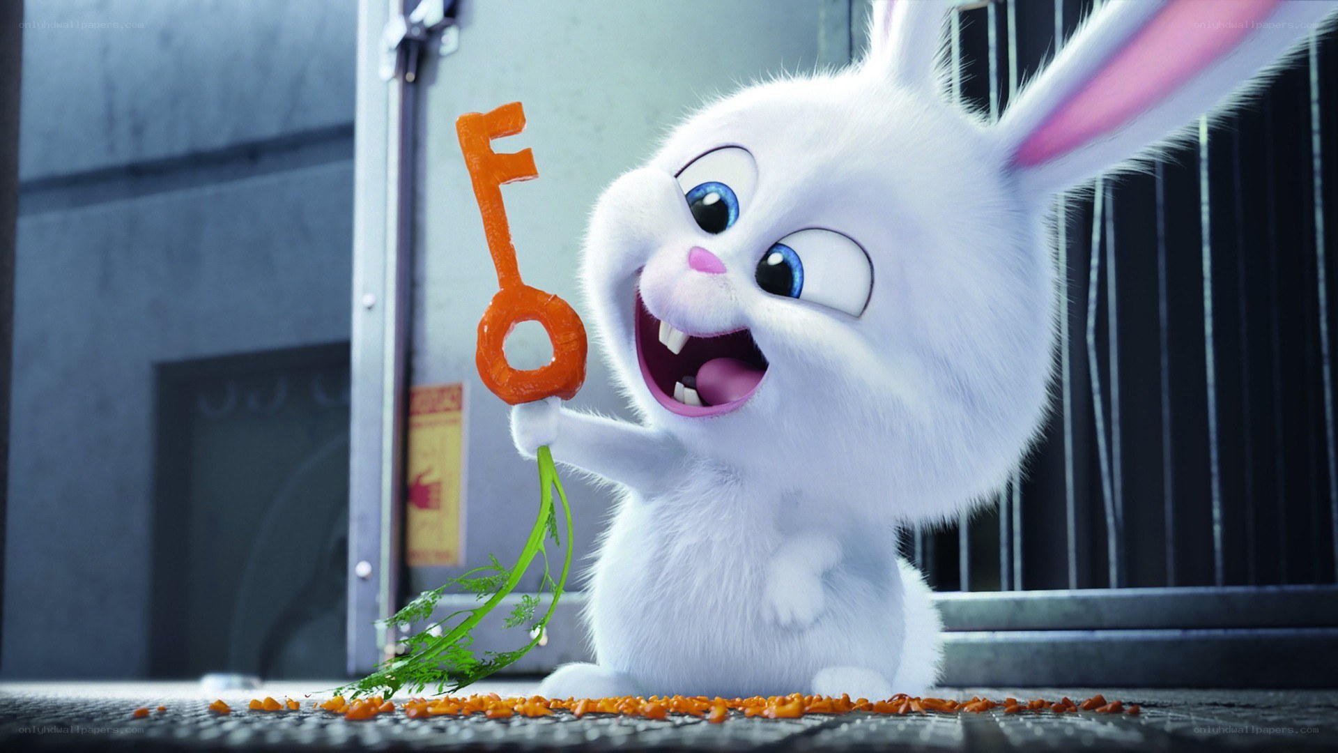 white rabbit holding carrot key