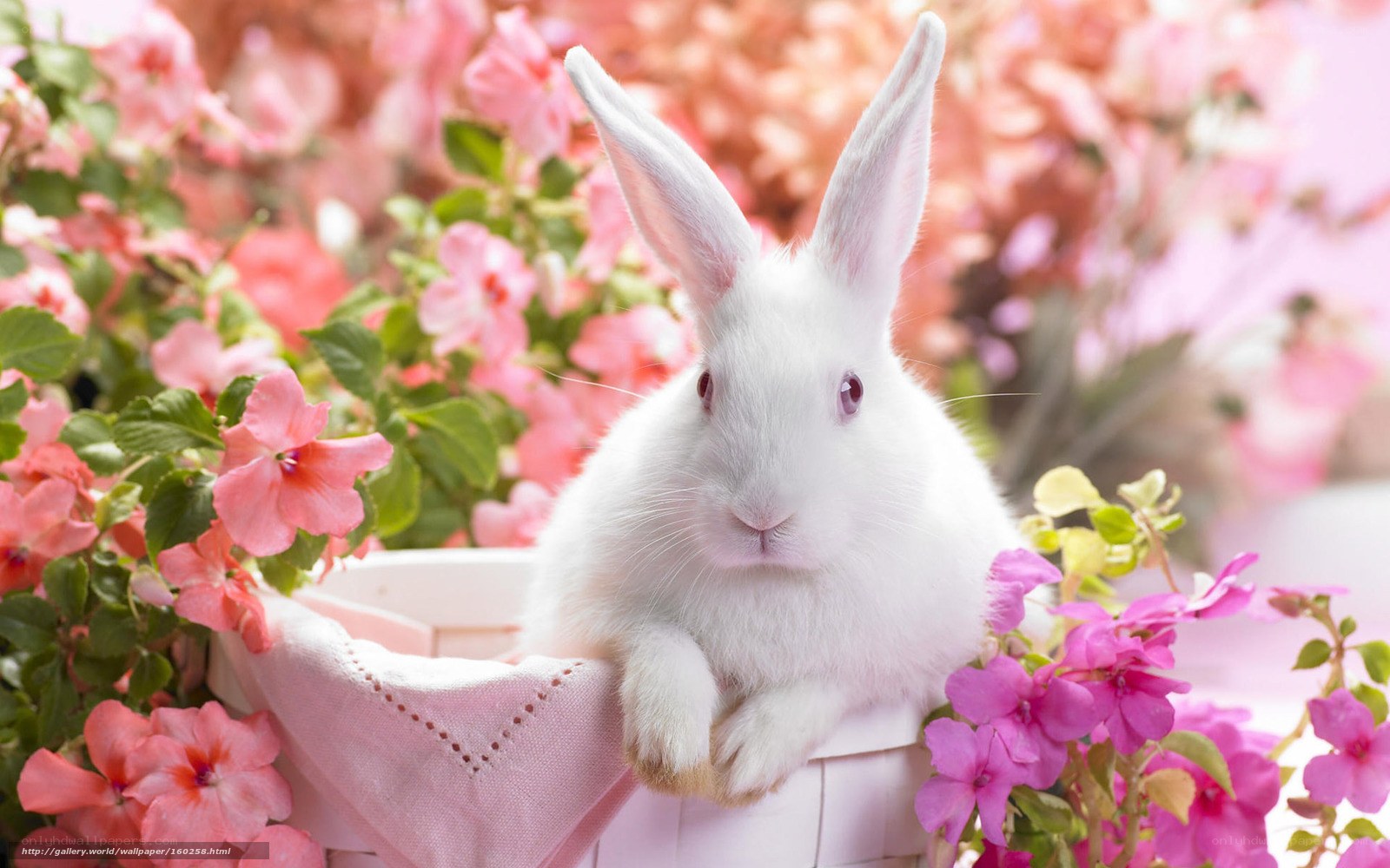 White rabbit in a flower basket