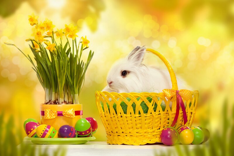 White Rabbit in Basket — Yellow