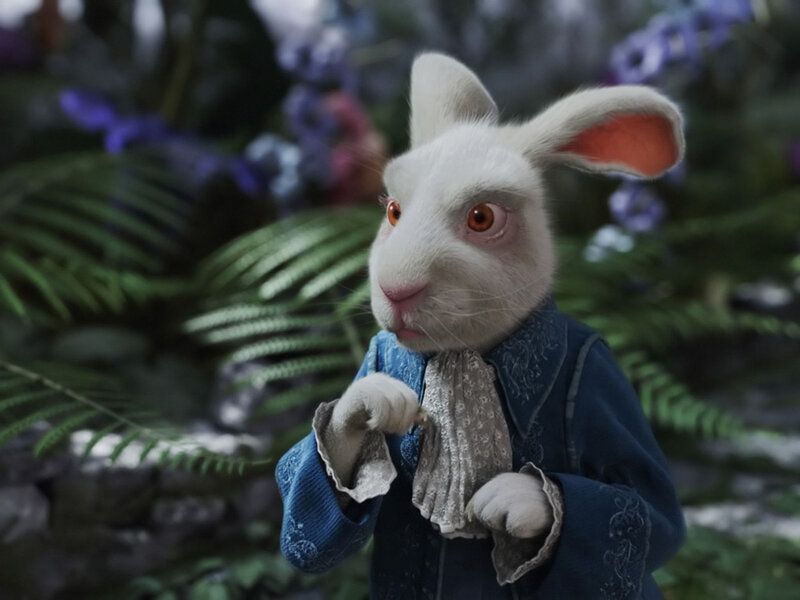 white rabbit in blue coat