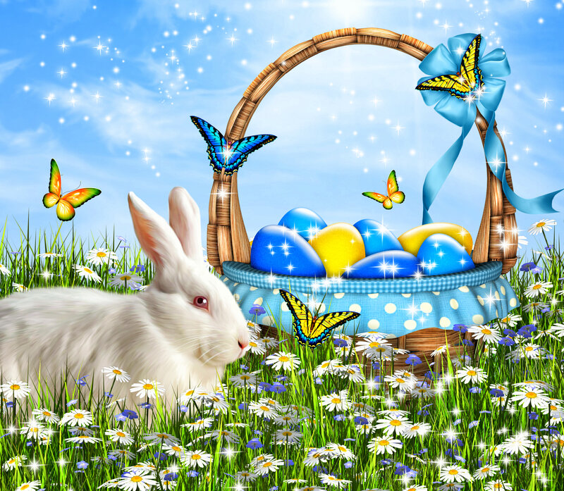 White Rabbit in Field — Blue