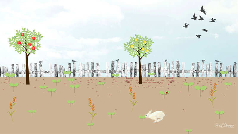 White Rabbit in Field