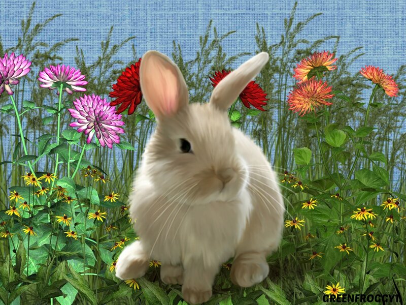 White Rabbit in Flowers — Green, Serene, Spring