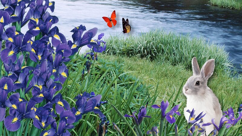 White Rabbit in Flowers — Purple, Serene