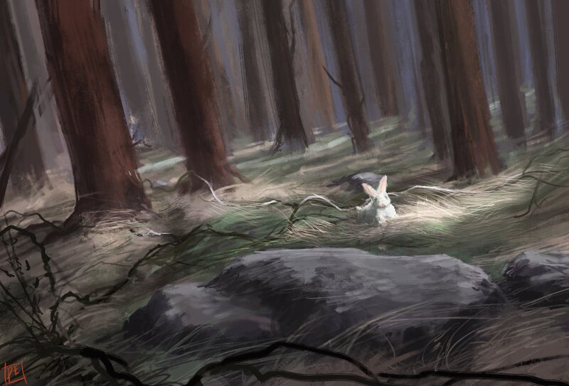 White Rabbit in Forest — Green