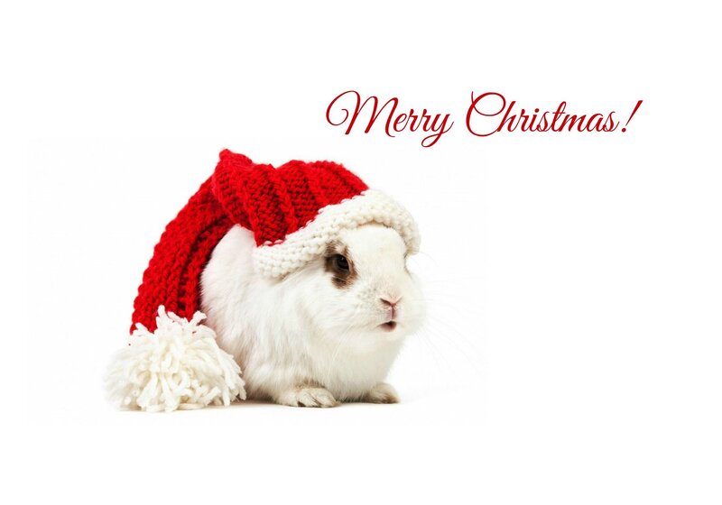 White Rabbit in Hat — Festive, Winter