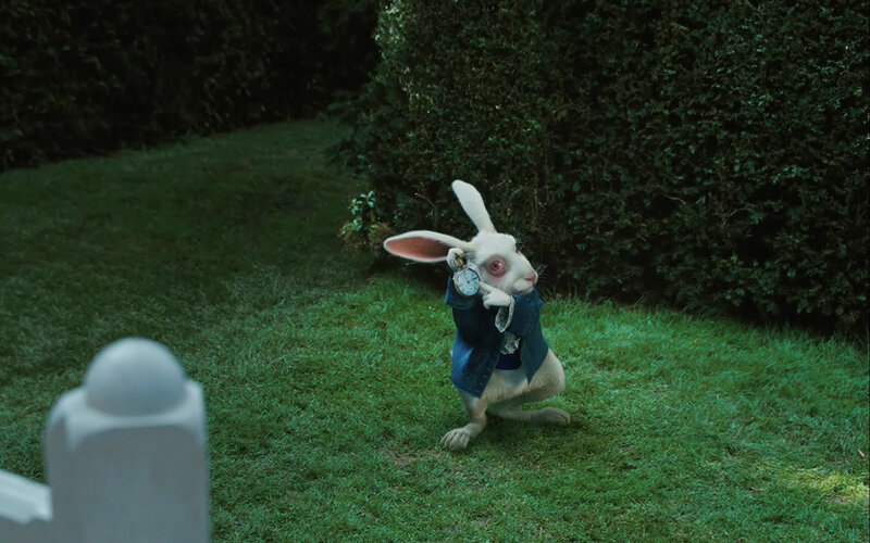 White Rabbit in Jacket